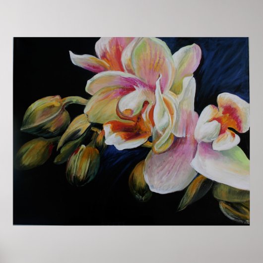 Poster Orchidées (Devant)