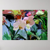 Poster Orchidées (Devant)