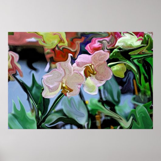 Poster Orchidées (Devant)