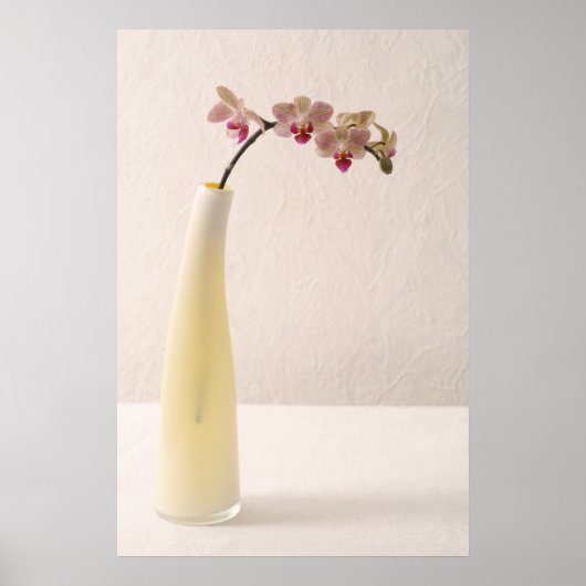Poster Orchidées (Devant)