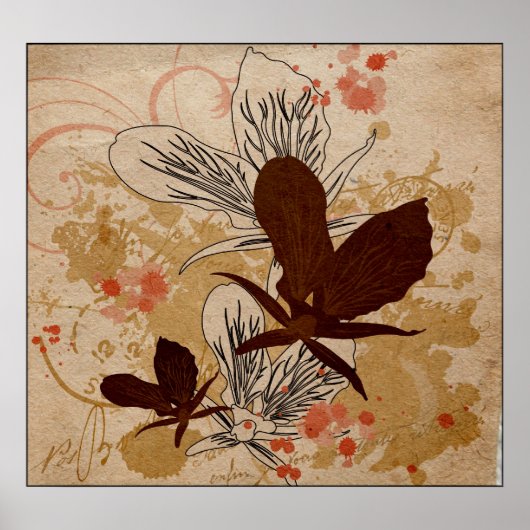 Poster Orchidées (Devant)