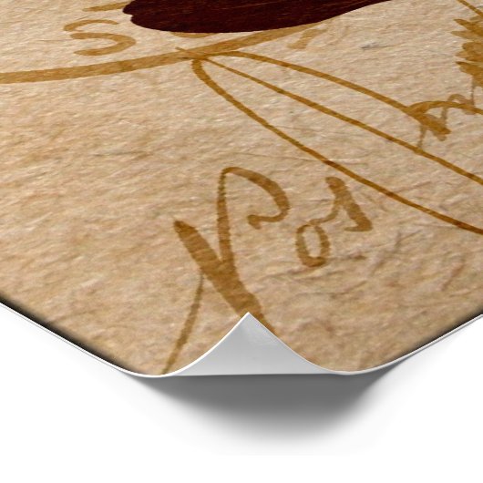 Poster Orchidées (Coin)