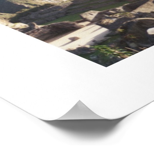 Poster Orchidées au Machu Picchu (Coin)