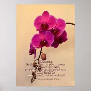 Poster Orchidées avec devis Miracle