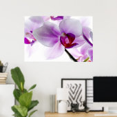Poster Orchidées blanches (Bureau à domicile)