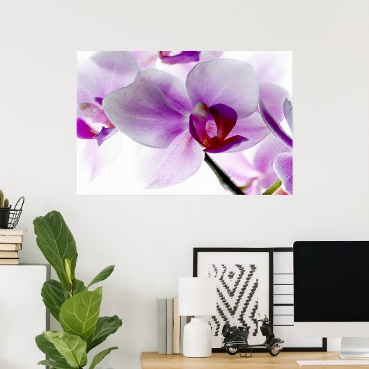 Poster Orchidées blanches (Bureau à domicile)