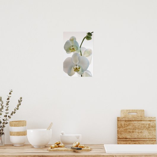 Poster Orchidées blanches (Cuisine)