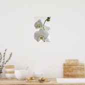 Poster Orchidées blanches (Cuisine)