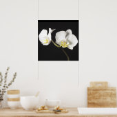 Poster Orchidées blanches (Cuisine)