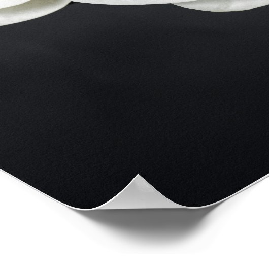 Poster Orchidées blanches (Coin)