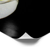 Poster Orchidées blanches élégantes, photo à fleurs tropi (Coin)