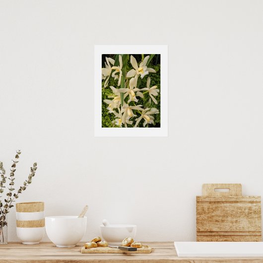 Poster Orchidées blanches et fougères florales (Cuisine)