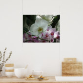 Poster Orchidées blanches et violettes (Cuisine)