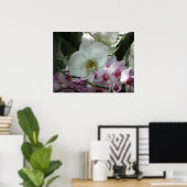 Poster Orchidées blanches et violettes (Bureau à domicile)