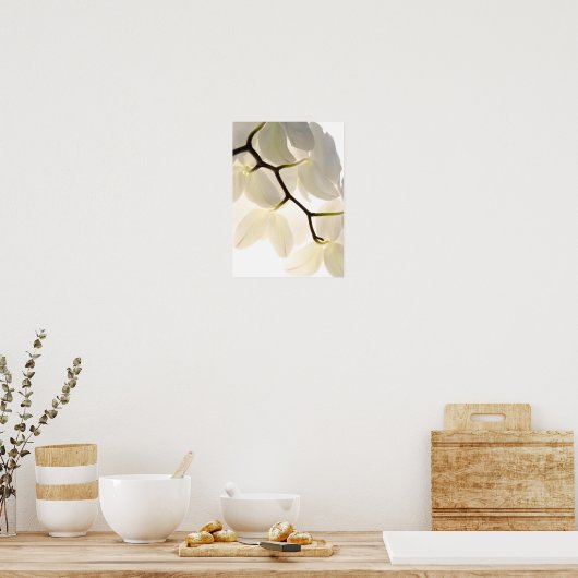 Poster Orchidées blanches sur blanc (Cuisine)