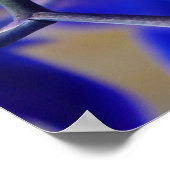 Poster Orchidées bleue et rose (Coin)
