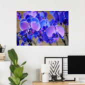 Poster Orchidées bleue et rose (Bureau à domicile)