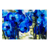Poster Orchidées bleues (Devant)