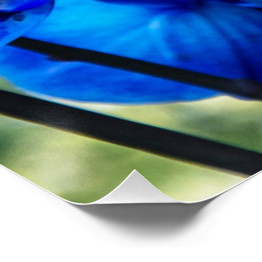 Poster Orchidées bleues (Coin)