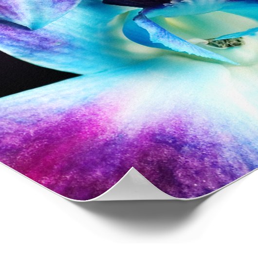 Poster Orchidées Customisées à l'orchidée pourpre et bleu (Coin)