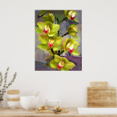 Poster Orchidées Cymbidium Vert (Cuisine)