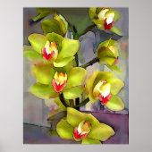Poster Orchidées Cymbidium Vert (Devant)