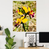 Poster Orchidées d'ânes (Bureau à domicile)