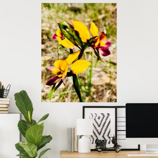 Poster Orchidées d'ânes (Bureau à domicile)