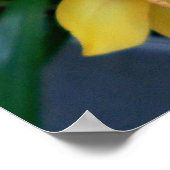 Poster Orchidées de Cymbidium Jaune (Coin)