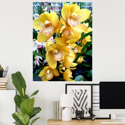Poster Orchidées de Cymbidium Jaune (Bureau à domicile)