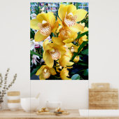 Poster Orchidées de Cymbidium Jaune (Cuisine)