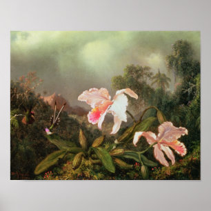 Poster Orchidées de la jungle et colibris, 1872