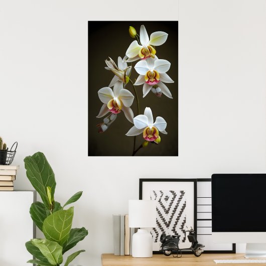 Poster Orchidées Dendroium (Bureau à domicile)