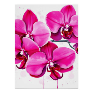 Poster Orchidées en Magenta et pourpre