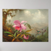 Poster Orchidées et colibri par Martin Johnson Heade P (Devant)