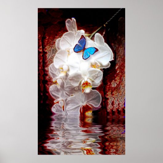 Poster Orchidées et papillon (Devant)