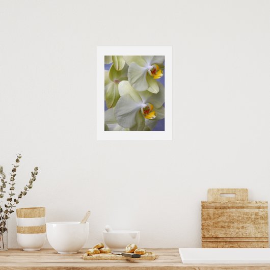 Poster Orchidées Fleur Mothe Jaune Pâle Floral (Cuisine)