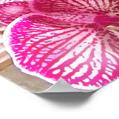 Poster orchidées fushcia (Coin)