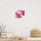 Poster orchidées fushcia (Cuisine)