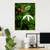 Poster Orchidées hawaïennes sauvages (Bureau à domicile)