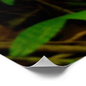 Poster Orchidées hawaïennes sauvages (Coin)