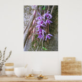 Poster Orchidées Honohono (Cuisine)