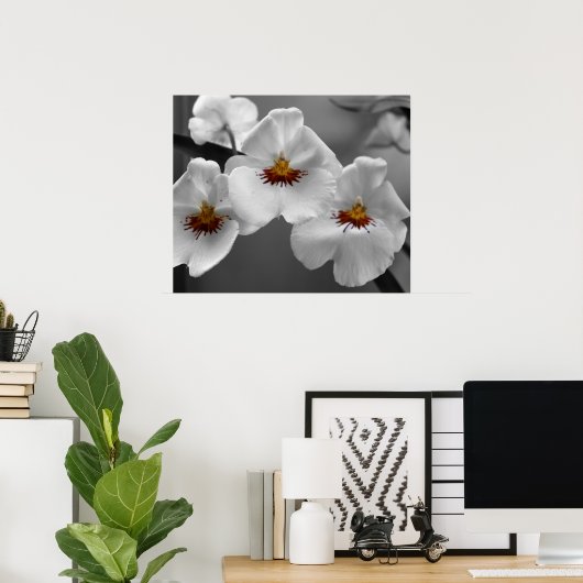 Poster Orchidées monochromes (Bureau à domicile)