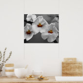 Poster Orchidées monochromes (Cuisine)