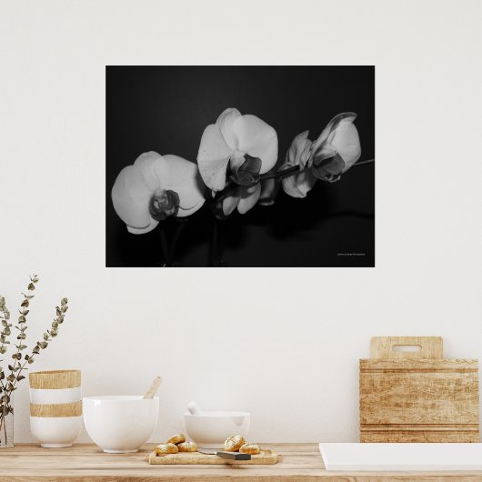Poster orchidées noir et blanc (Cuisine)