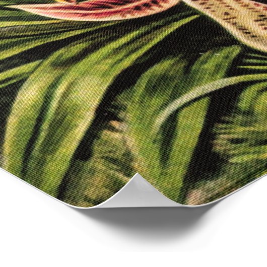 Poster Orchidées par Ernst Haeckel (Coin)