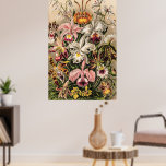 Poster Orchidées par Ernst Haeckel<br><div class="desc">Orchideae-Denusblumen / A. Giltsch, bijou de Kunstformen der Natur illustration vintage design botanique floral par le zoologiste allemand, naturaliste, professeur et biologiste marin, Ernst Haeckel (1843-1919). Original de la Bibliothèque du Congrès. Kunstformen der Natur était connu pour combler le fossé entre la science et l'art. Un bouquet de belles fleurs...</div>