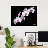 Poster Orchidées, par Sinisa Botas (Bureau à domicile)
