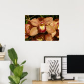 Poster Orchidées pêche avec des gouttes de pluie Floral (Bureau à domicile)
