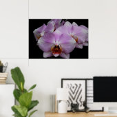 Poster Orchidées Phalaenopsis (Bureau à domicile)